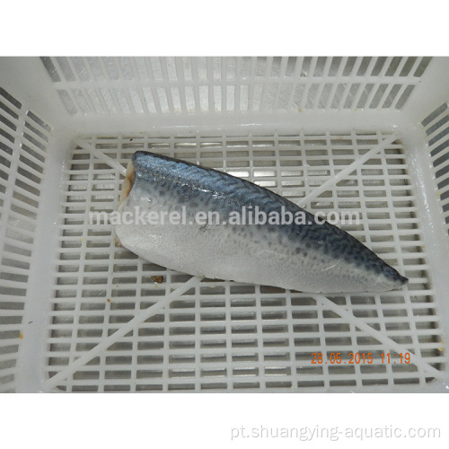 Frozen scomber japonicus peixe pacific patelerel filete